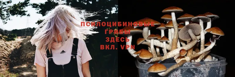 Галлюциногенные грибы Cubensis  купить наркоту  Ялта 